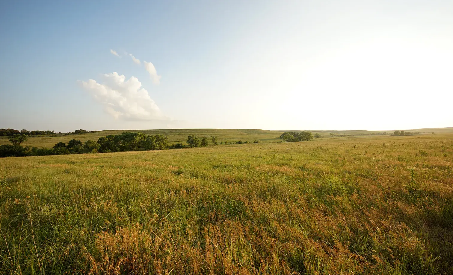 open-grassland-field